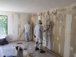 Best Basement Mold Removal  in USA